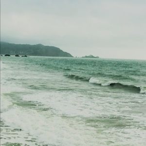 Meet your Posher, Audrey